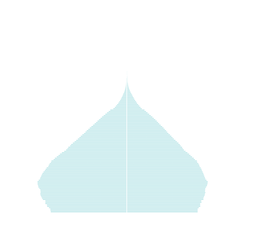 インドの人口ピラミッド